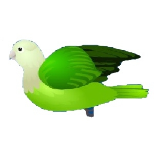 White Head Green Lovebird